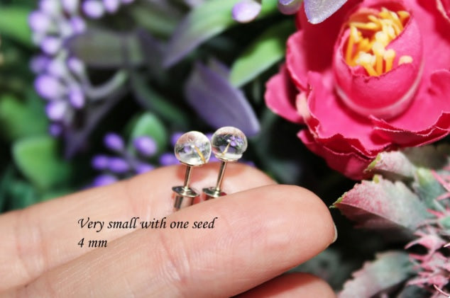 Dandelion seeds studs mini
