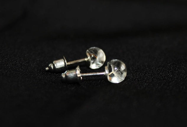 Dandelion seeds studs mini