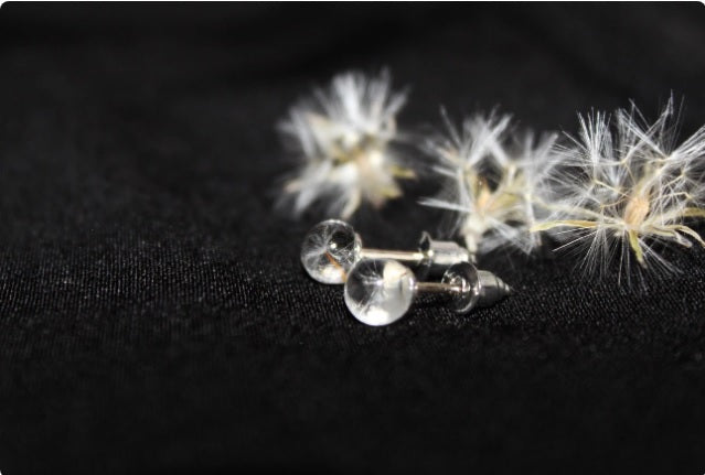 Dandelion seeds studs mini