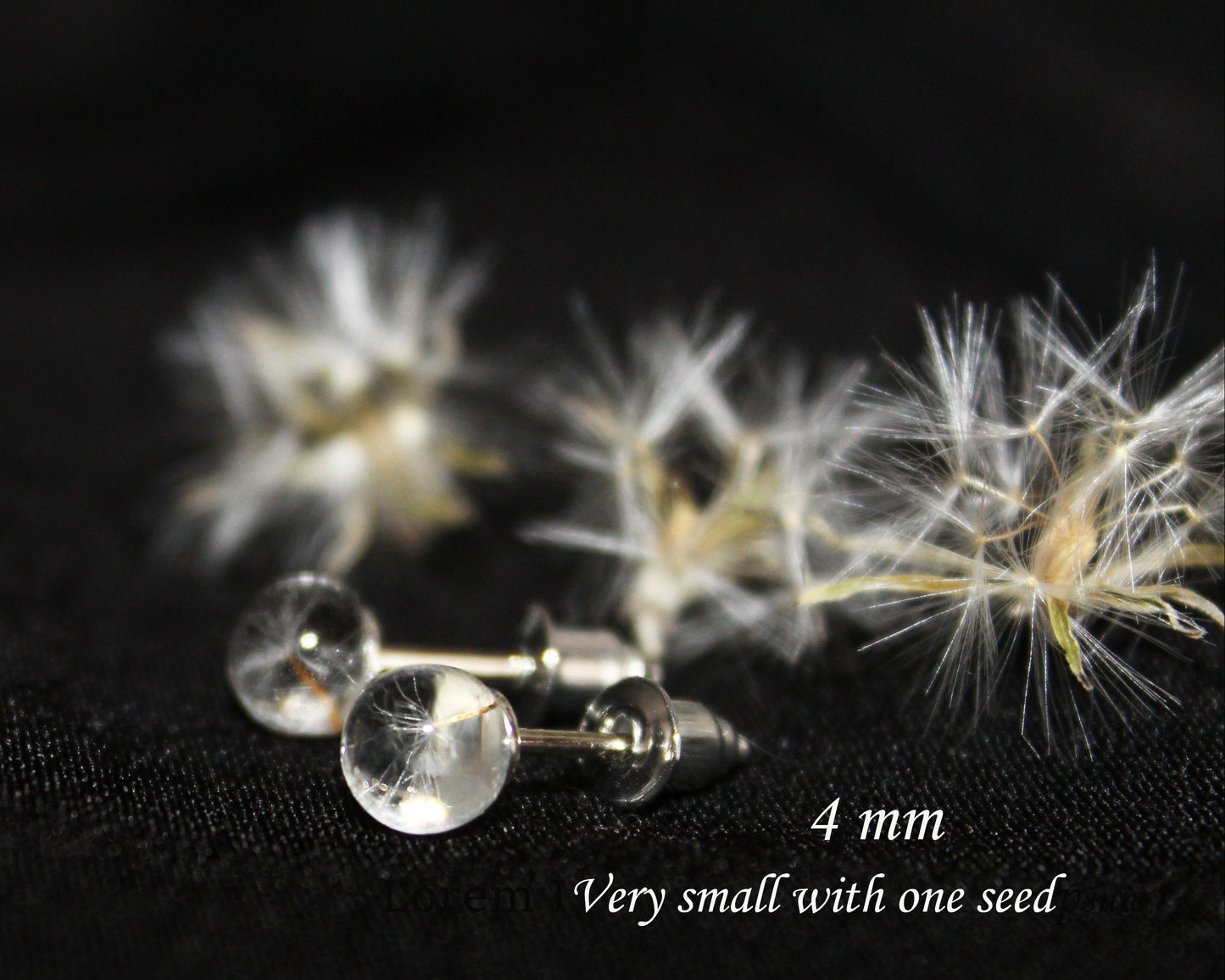 Dandelion seeds studs mini